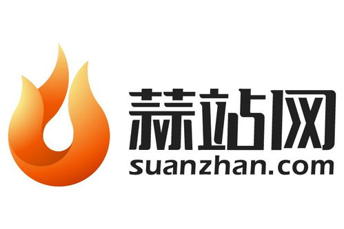 四川蒜站網(wǎng)絡(luò)科技 引領(lǐng)科技創(chuàng)新與數(shù)字化轉(zhuǎn)型