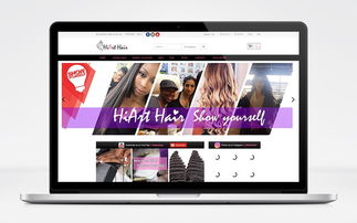 海逸發制品青島網站建設 專業網站公司助力企業網絡騰飛